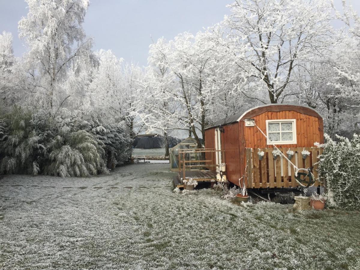 B&B Hetvrijdagsgevoel Sneek Exterior foto